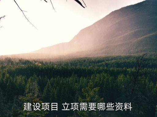 立項(xiàng)文件