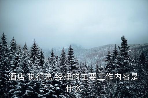 執(zhí)行經理