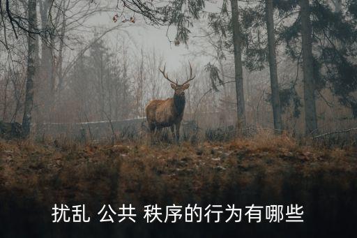 公共秩序