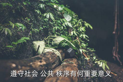 遵守社會(huì) 公共 秩序有何重要意義