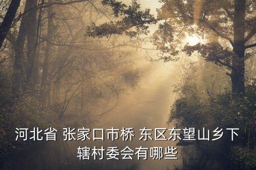 張家口橋東區(qū)