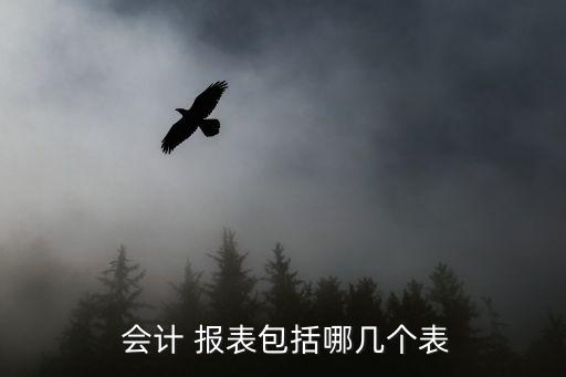  會(huì)計(jì) 報(bào)表包括哪幾個(gè)表