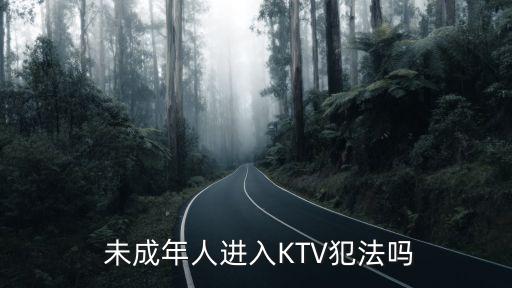  未成年人進入KTV犯法嗎