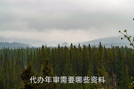 代辦年檢服務(wù),保險(xiǎn)公司代辦年檢服務(wù)