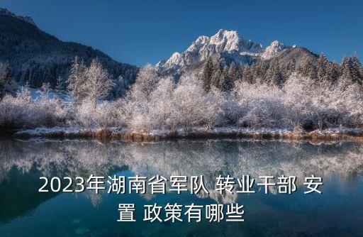 2023年湖南省軍隊(duì) 轉(zhuǎn)業(yè)干部 安置 政策有哪些