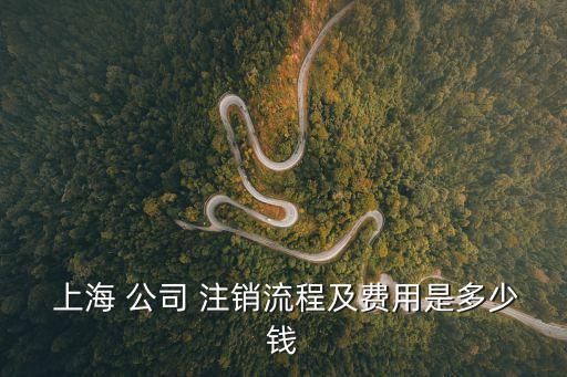 上海 公司 注銷(xiāo)流程及費(fèi)用是多少錢(qián)