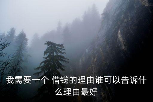 我需要一個(gè) 借錢(qián)的理由誰(shuí)可以告訴什么理由最好