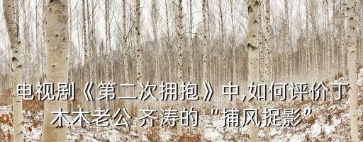 電視劇《第二次擁抱》中,如何評價丁木木老公 齊濤的“捕風(fēng)捉影”