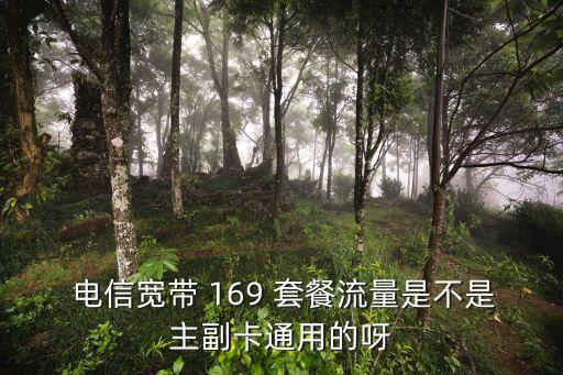 電信169套餐