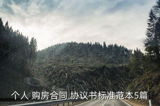 個(gè)人 購房合同 協(xié)議書標(biāo)準(zhǔn)范本5篇