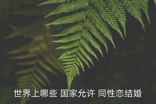 同性戀合法的國家