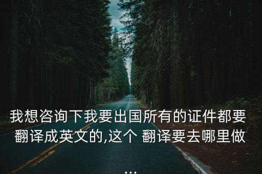 我想咨詢下我要出國所有的證件都要 翻譯成英文的,這個(gè) 翻譯要去哪里做...