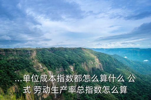 ...單位成本指數(shù)都怎么算什么 公式 勞動生產(chǎn)率總指數(shù)怎么算