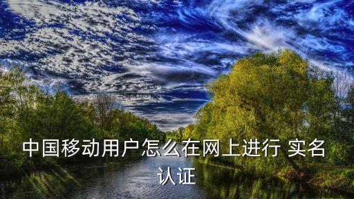 中國移動用戶怎么在網(wǎng)上進行 實名 認(rèn)證