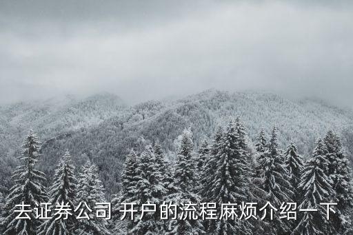 去證券公司 開戶的流程麻煩介紹一下