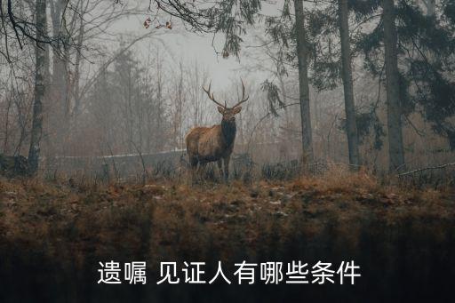 遺囑見證人