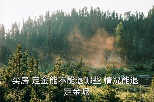 買房 定金能不能退哪些 情況能退 定金呢