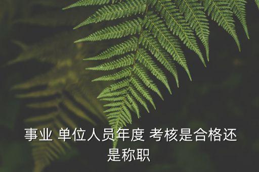  事業(yè) 單位人員年度 考核是合格還是稱(chēng)職