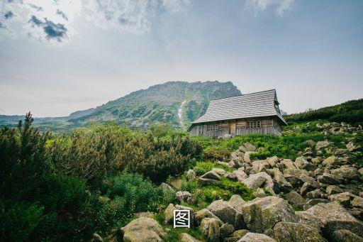 宮樂圖