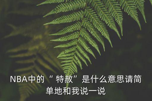 NBA中的“ 特赦”是什么意思請簡單地和我說一說