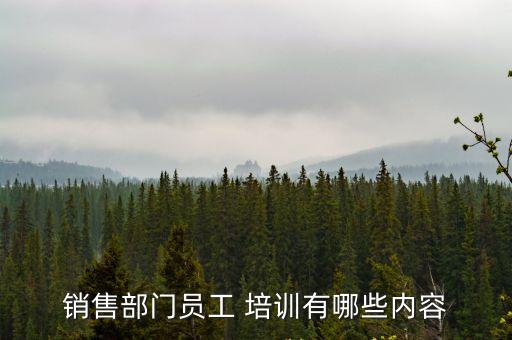 銷售部門員工 培訓(xùn)有哪些內(nèi)容