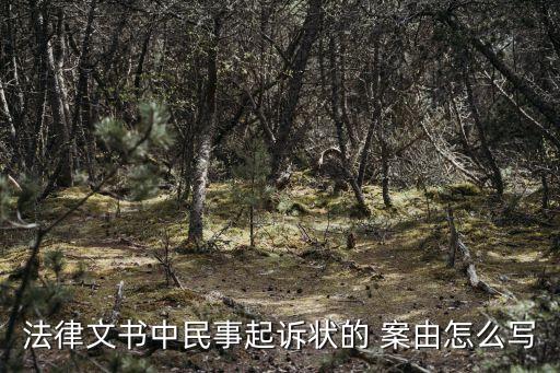 法律文書中民事起訴狀的 案由怎么寫