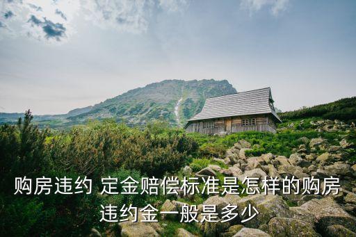 購房違約 定金賠償標準是怎樣的購房 違約金一般是多少