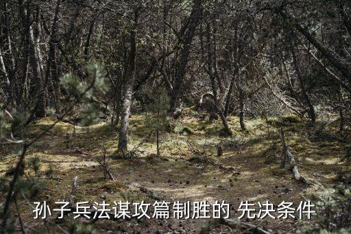 先決條件,安裝博途v16提示先決條件不滿足