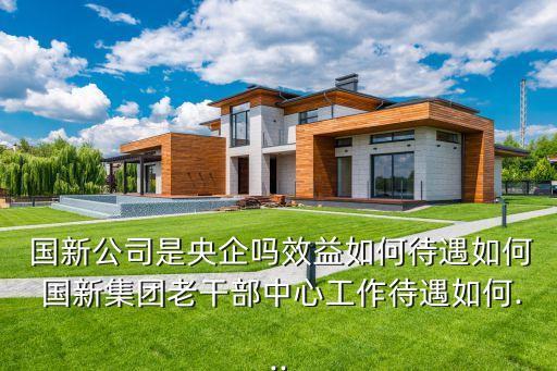  國(guó)新公司是央企嗎效益如何待遇如何 國(guó)新集團(tuán)老干部中心工作待遇如何...