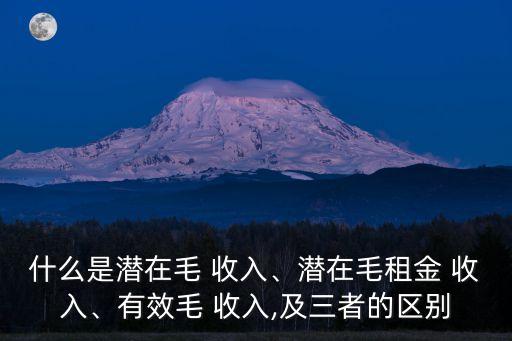 什么是潛在毛 收入、潛在毛租金 收入、有效毛 收入,及三者的區(qū)別