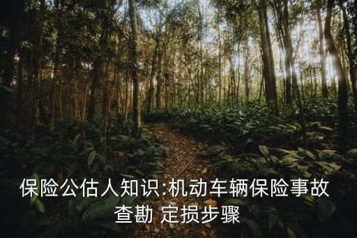 保險(xiǎn)公估人知識(shí):機(jī)動(dòng)車輛保險(xiǎn)事故 查勘 定損步驟