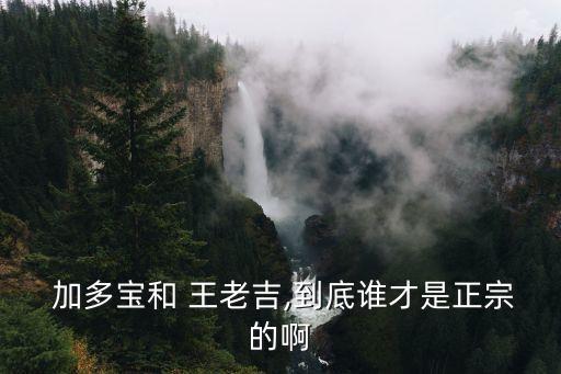  加多寶和 王老吉,到底誰才是正宗的啊