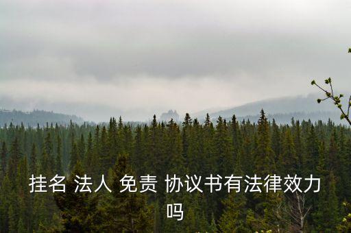 掛名 法人 免責(zé) 協(xié)議書有法律效力嗎