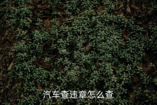 交通違法查詢,福建交通違章查詢