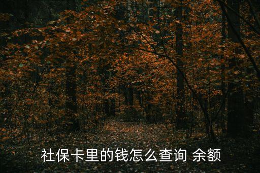  社?？ɡ锏腻X怎么查詢 余額