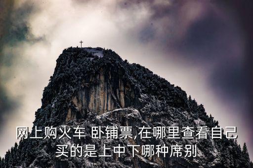 網(wǎng)上購火車 臥鋪票,在哪里查看自己買的是上中下哪種席別