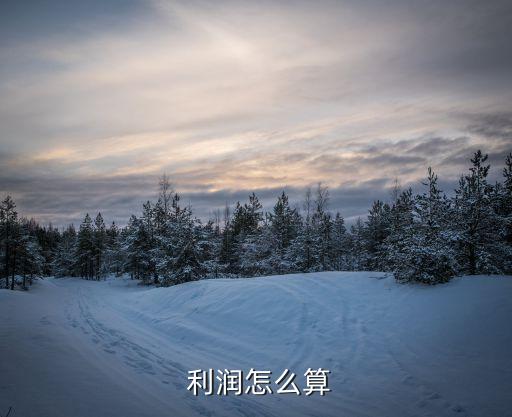 利潤(rùn)的計(jì)算方法,經(jīng)營(yíng)毛利潤(rùn)的計(jì)算方法