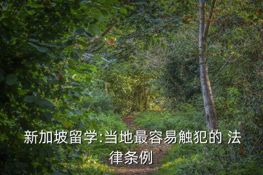  新加坡留學:當?shù)刈钊菀子|犯的 法律條例