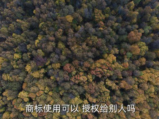  商標使用可以 授權(quán)給別人嗎