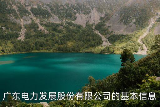 廣東電力發(fā)展股份有限公司的基本信息