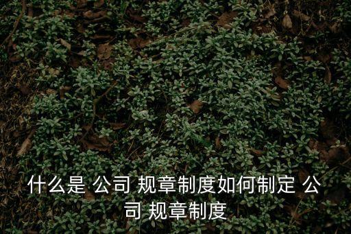 什么是 公司 規(guī)章制度如何制定 公司 規(guī)章制度