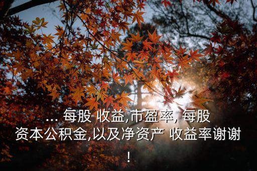 ... 每股 收益,市盈率, 每股資本公積金,以及凈資產(chǎn) 收益率謝謝!
