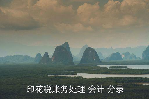  印花稅賬務(wù)處理 會計 分錄