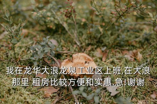 我在龍華大浪龍泉工業(yè)區(qū)上班,在大浪那里 租房比較方便和實惠.急!謝謝...