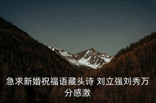劉立強(qiáng)