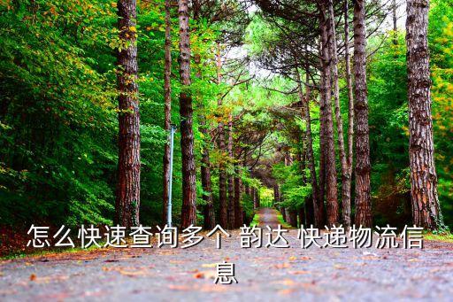 韻達(dá)快遞公眾號(hào),關(guān)注韻達(dá)快遞公眾號(hào)