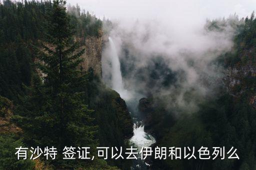 沙特阿拉伯簽證,中國去沙特阿拉伯簽證