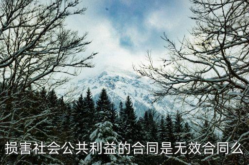 合同法法諺分析,原合同法51條分析
