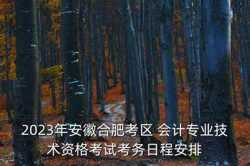 2023年安徽合肥考區(qū) 會(huì)計(jì)專業(yè)技術(shù)資格考試考務(wù)日程安排