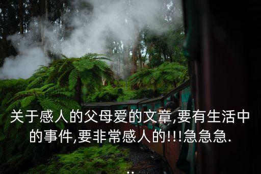 關于感人的父母愛的文章,要有生活中的事件,要非常感人的!!!急急急...